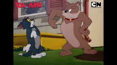 Tom & Jerry