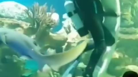 Diver hugging and dancing with big fish