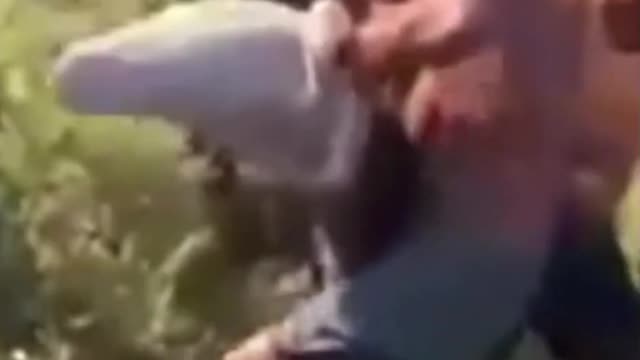 Big Fish Knocks Man Out