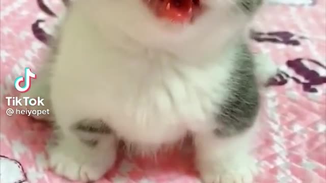 See how cute I am