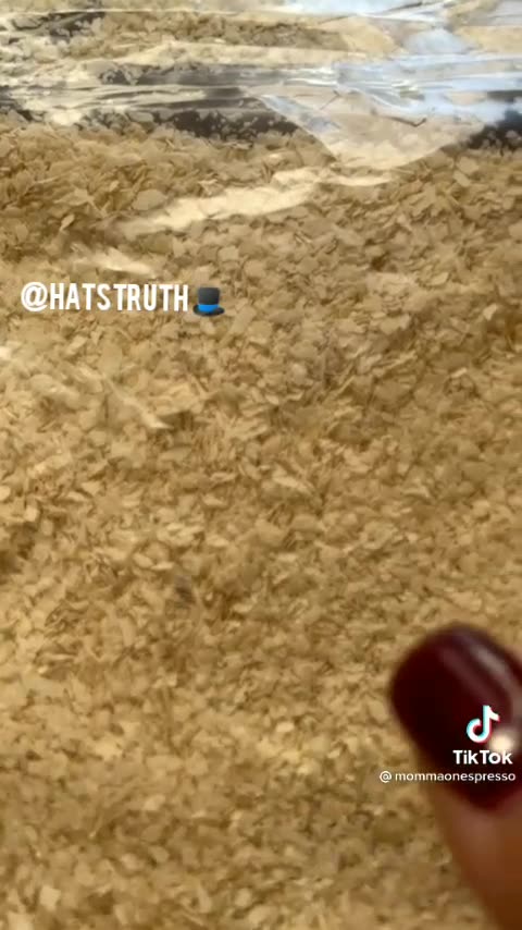 Heavy metals found in oatmeal