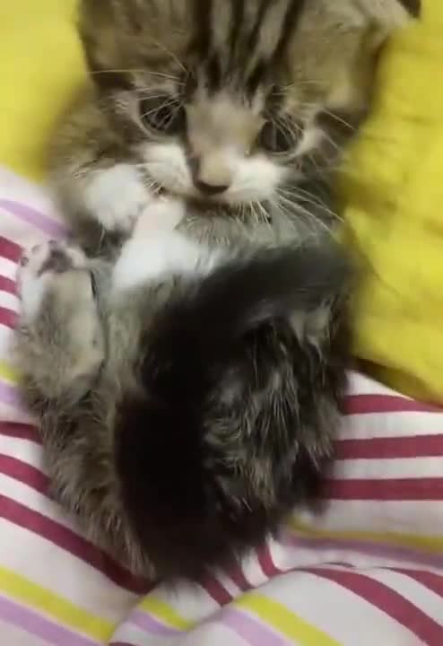 Every day. Every. Darn. Day.