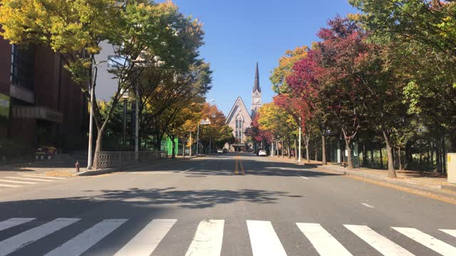 South Korea beautiful fall look