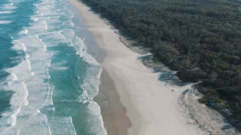 OCEAN CHOIR MEDITATION