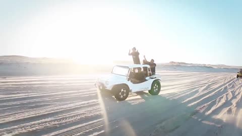 A fun safari trip I really need