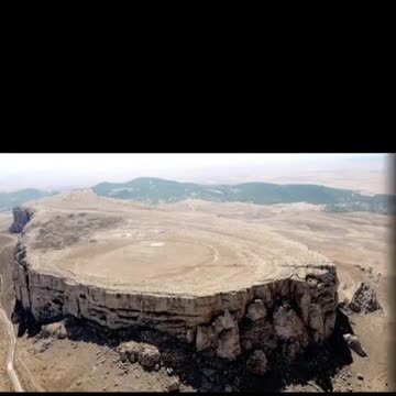 地球は、大木で覆われていた。