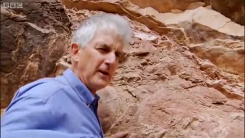 The World's Most Rare and Ancient Fossils | BBC Earth