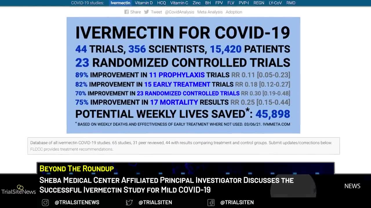 Beyond The Roundup | UK BIRD Panel Sends Ivermectin Recommendation To World Health Organization