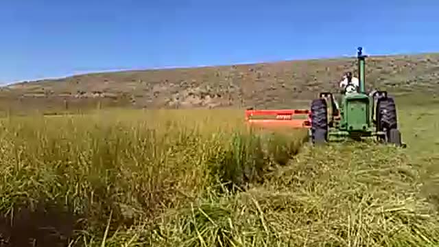 Allen Lockhart mowing tall grass in the Wet Mountain Valley