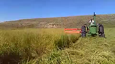 Allen Lockhart mowing tall grass in the Wet Mountain Valley