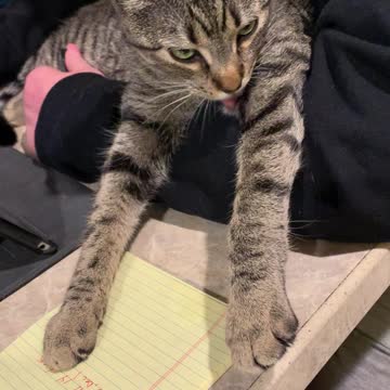 Keke chilling with Nancy.