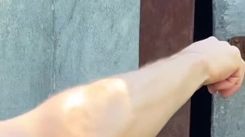 Ultimate Hidden Door Lock