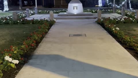 Cut garden at night in Edmonton