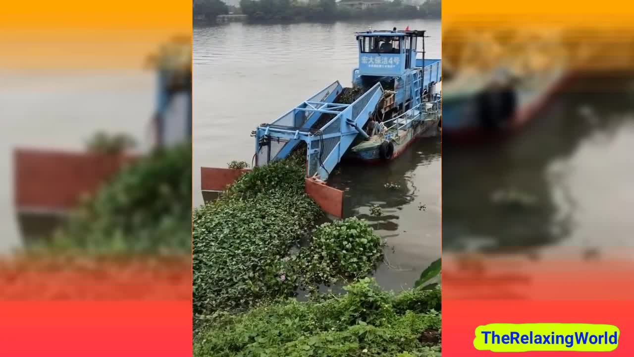 Best Oddly Satisfying Video That Makes You Sleepy Most Satisfying Videos For Sleep or Relaxation