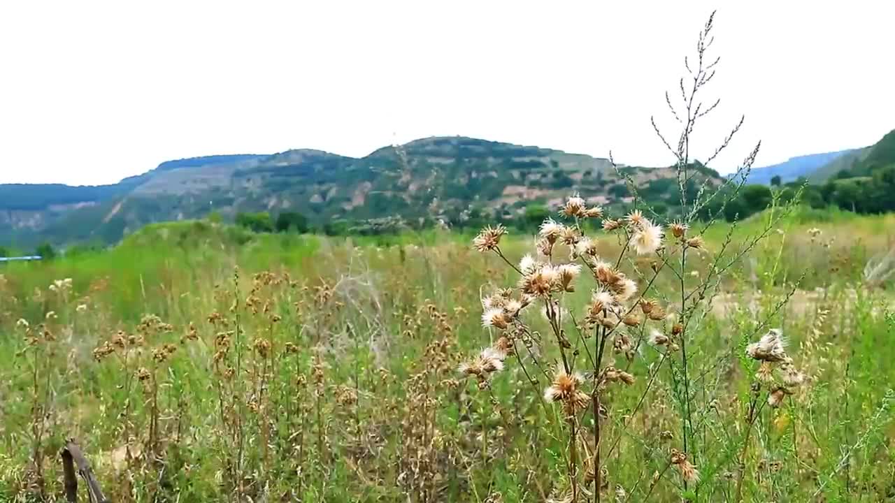 Feel the nature, come on, leave footprints