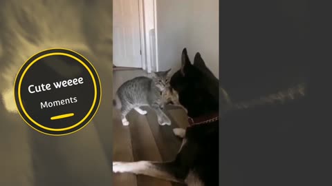 Cute weeee moments