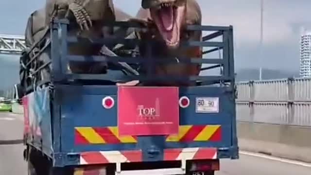 Netizens ran into two "dinosaurs" on the road... Is this the car in Jurassic Park?