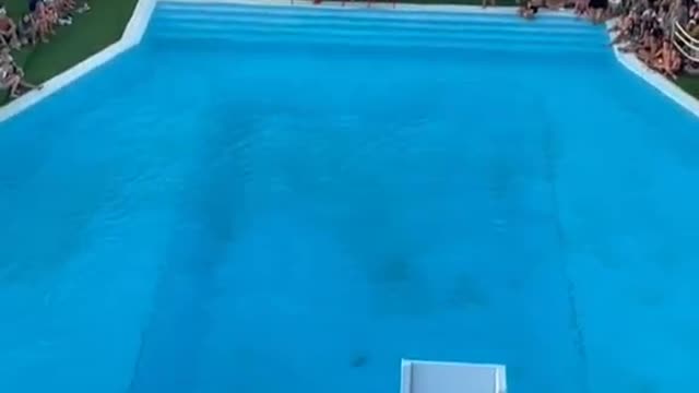 playground diving