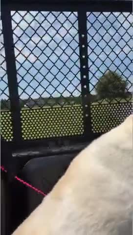 Just cruising around with my hunnie! #shorts