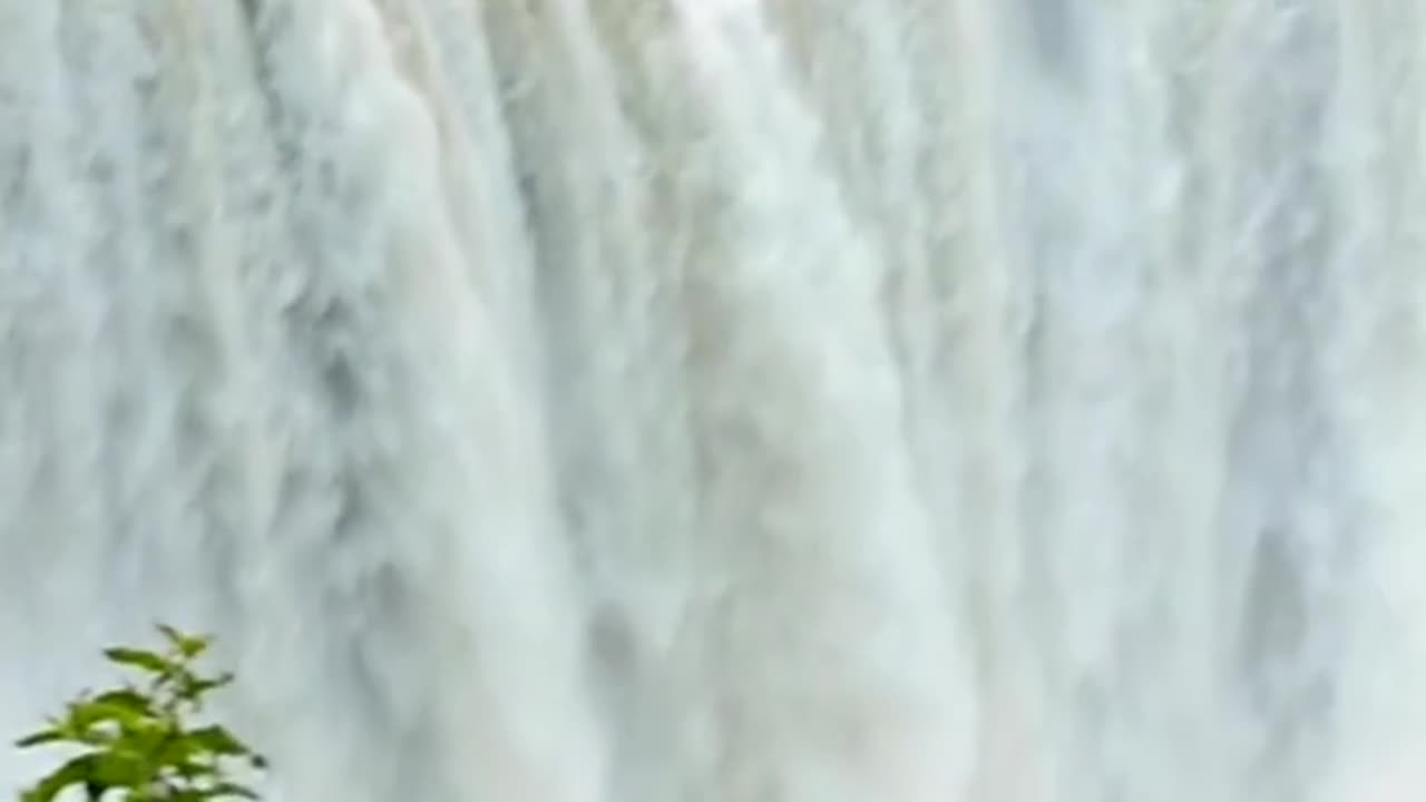 5 amazing things in the world