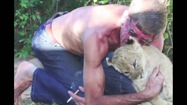 Humans and Animals THE BIG FRIEND OF LIONS MAN HAS TRUE FRIENDSHIP WITH A LION