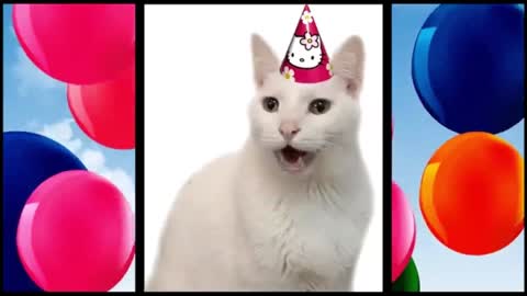 HAPPY BIRTHDAY FROM THE CATS_batch