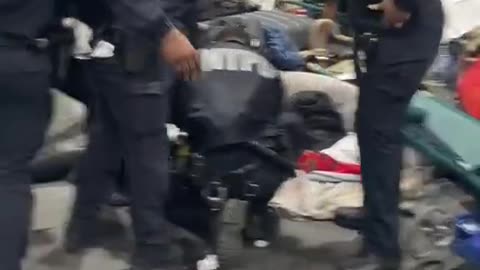 Illegal Aliens Gang Attack Police