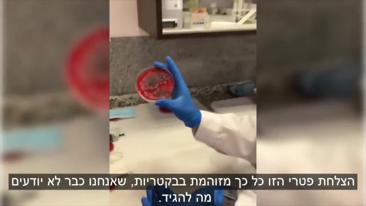 חמש מסכות נכנסו למעבדה