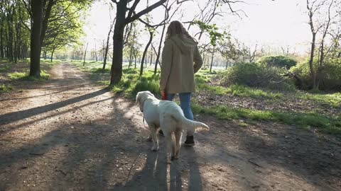 Girl walking dog in park, slow motion