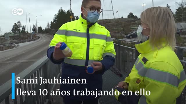 [Video] ¿Puede volar un avión con combustible hecho de cáscaras de banano?