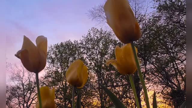April In Pictures