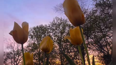 April In Pictures