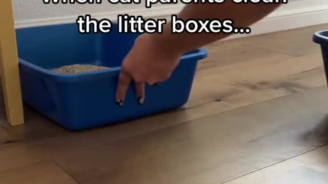 When cat parents clean the litter boxes...