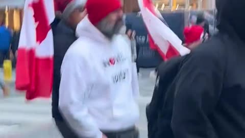 MAPLE MAGA patriots march through the streets of Toronto chanting