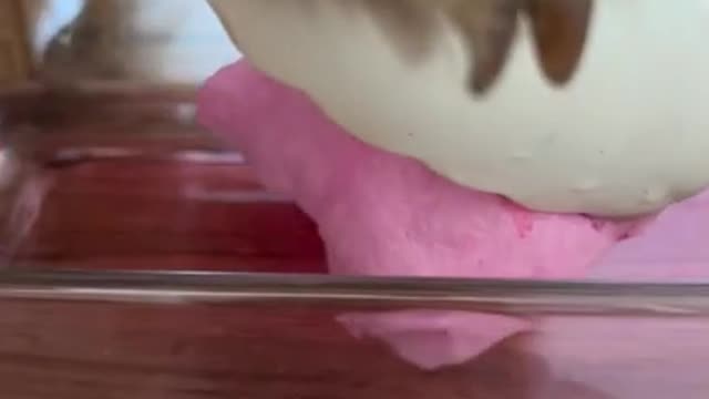 hallenge…. #shorts #lifehack #tonnythechefdog #candy #cottoncandy