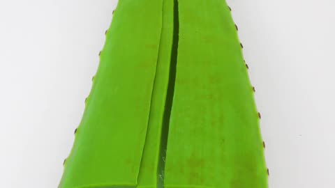 Cut aloe Vera Satisfying thing Feel this