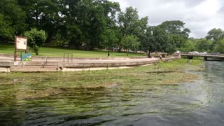 Sewell Park San Marcos Frisbee Dan!