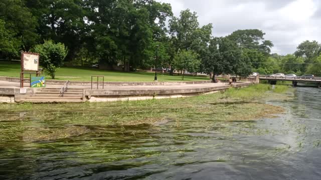 Sewell Park San Marcos Frisbee Dan!