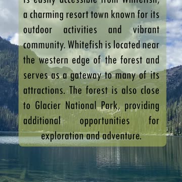 Beauty of Flathead National Forest | Montana Adventure