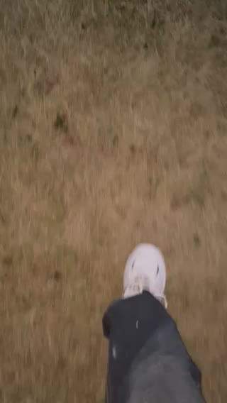 Health secret. WALKING every day at least ONE hours