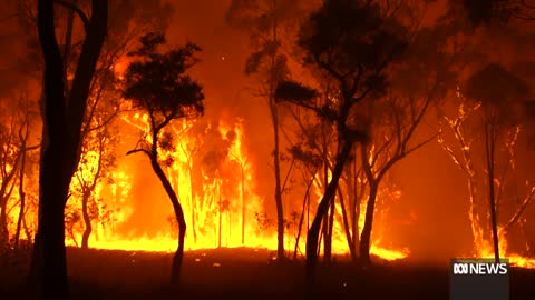 Australians urged to prepare bushfire plans ahead of summer _ ABC News