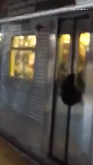 Guy gets backpack stuck in between closing doors in subway train