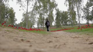 Dog Likes To Hike In Open Park