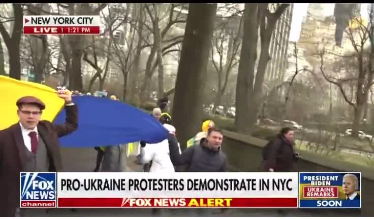 Pro-Ukraine Protesters Are Demonstrating in South Central Park, New York City