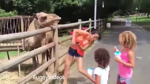 funny girls messing up