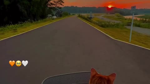 "Sunset" Roads