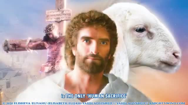 YAH'S Prophecy 63 (by AMW video team) Oh Israel, Where Is Your Blood Sacrifice? "MY Beloved Son YAHUSHUA, the only Lamb of YAHUVEH, the perfect Lamb without sin or spot or blemish." (mirrored)