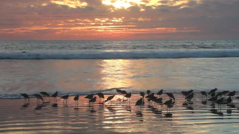 Relaxing Music | Sleeping, Meditation, Stress Relief | [1478] ⭐️