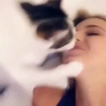 Does your cat kiss you like this?