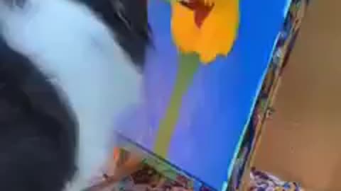 Painter Dog